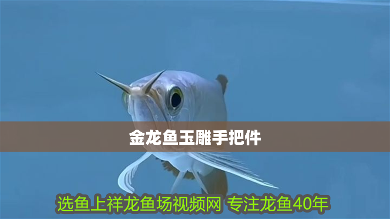 金龍魚玉雕手把件