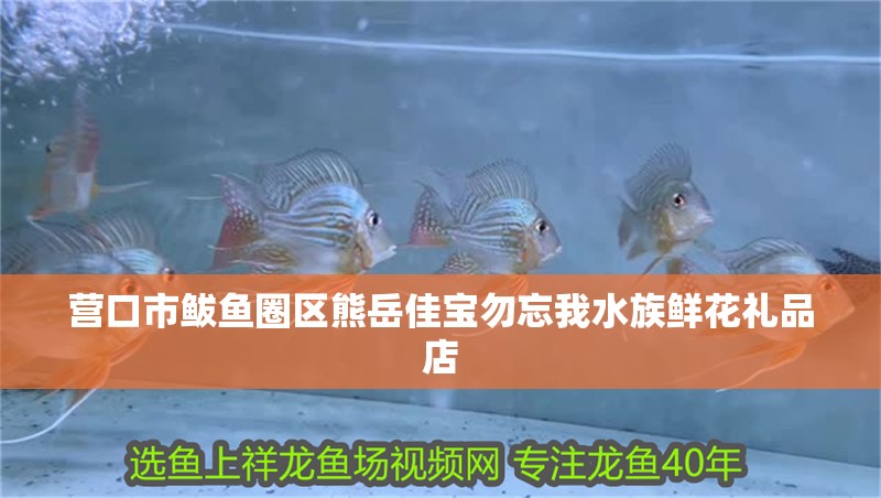 營口市鲅魚圈區熊岳佳寶勿忘我水族鮮花禮品店