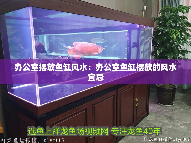 辦公室擺放魚缸風水：辦公室魚缸擺放的風水宜忌