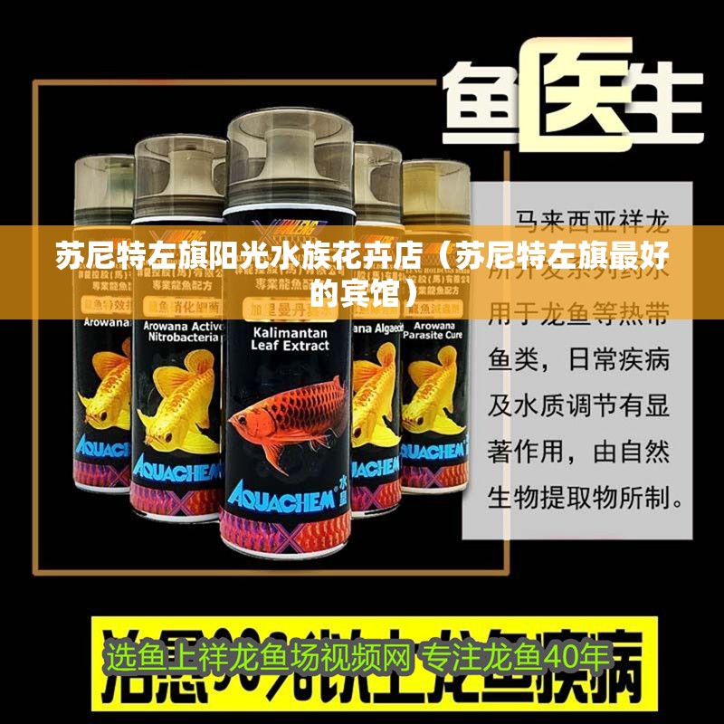 蘇尼特左旗陽光水族花卉店（蘇尼特左旗最好的賓館）