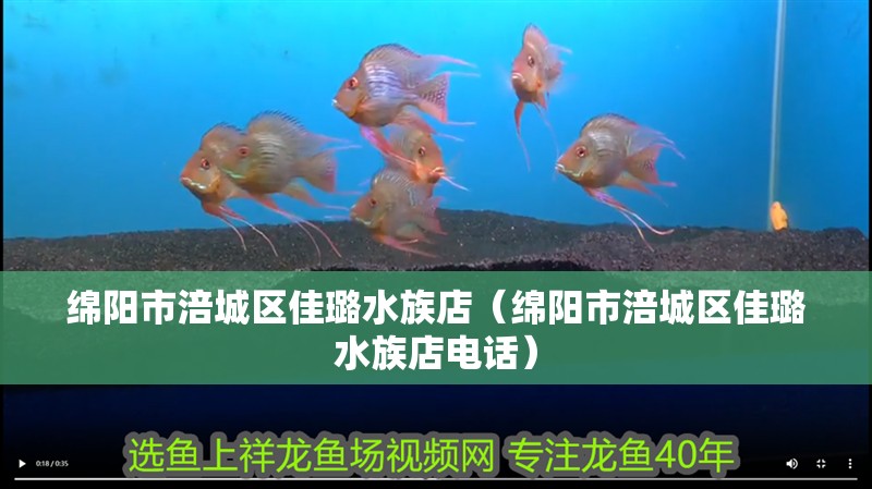 綿陽市涪城區(qū)佳璐水族店（綿陽市涪城區(qū)佳璐水族店電話）