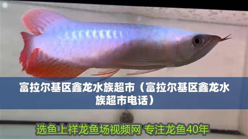 富拉爾基區鑫龍水族超市（富拉爾基區鑫龍水族超市電話）