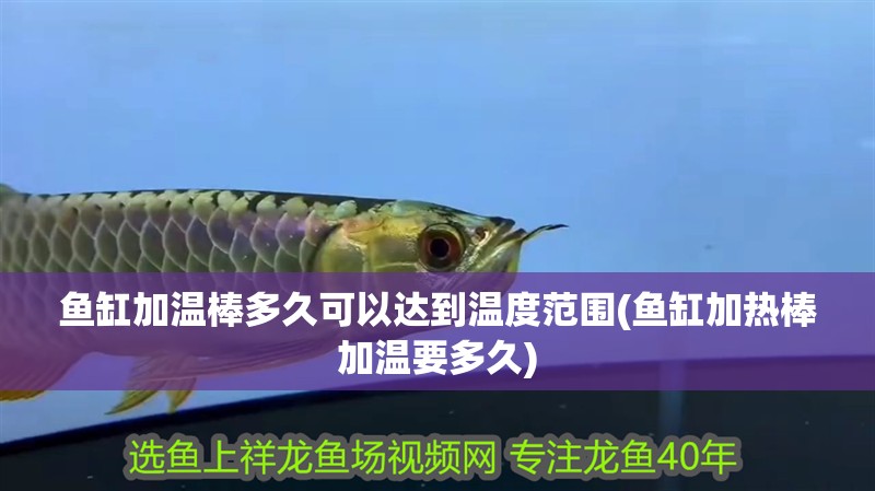 魚缸加溫棒多久可以達到溫度范圍(魚缸加熱棒加溫要多久)