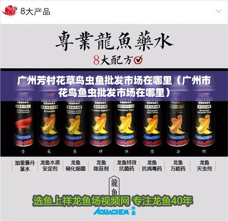 廣州芳村花草鳥蟲魚批發市場在哪里（廣州市花鳥魚蟲批發市場在哪里）