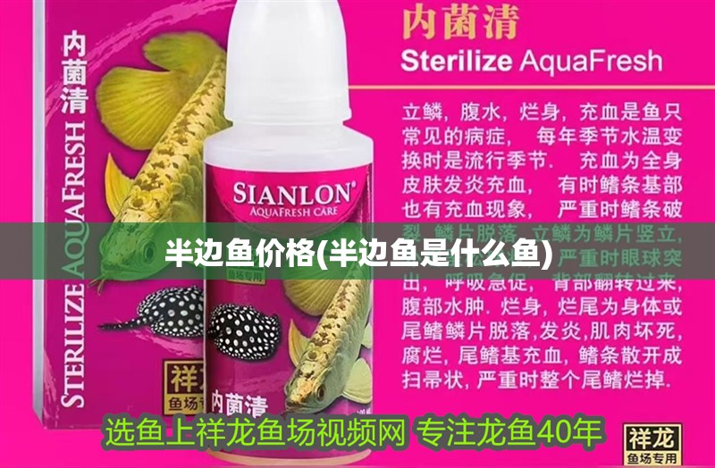 半邊魚價格(半邊魚是什么魚)