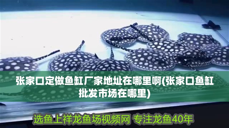 張家口定做魚缸廠家地址在哪里啊(張家口魚缸批發市場在哪里)
