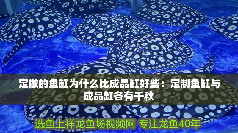 定做的魚缸為什么比成品缸好些：定制魚缸與成品缸各有千秋 定做的魚缸為什么比成品缸好些：定制魚缸與成品缸各有千秋 魚缸百科