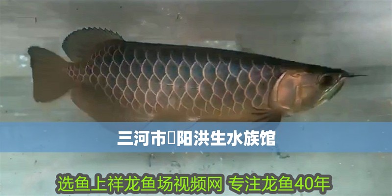 三河市泃陽洪生水族館 三河市泃陽洪生水族館 全國水族館企業(yè)名錄 第2張