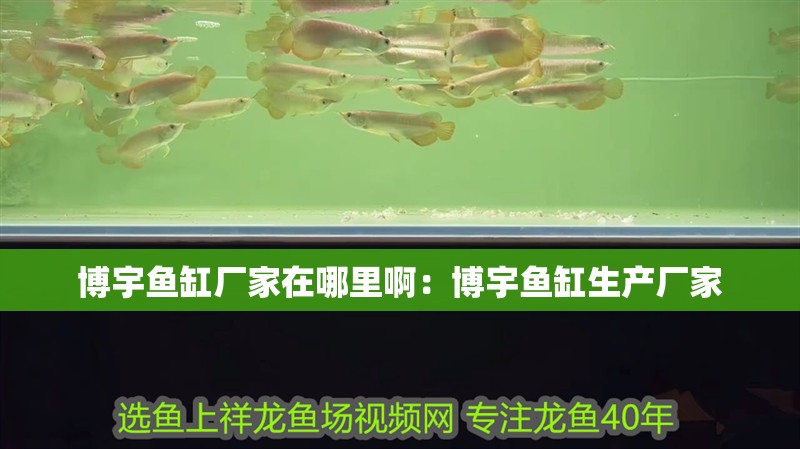 博宇魚缸廠家在哪里?。翰┯铘~缸生產廠家