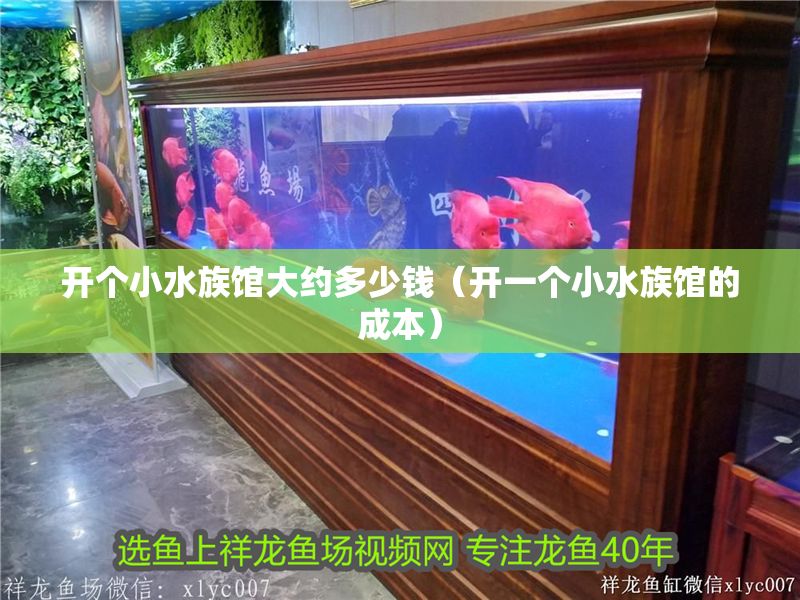開個小水族館大約多少錢（開一個小水族館的成本）