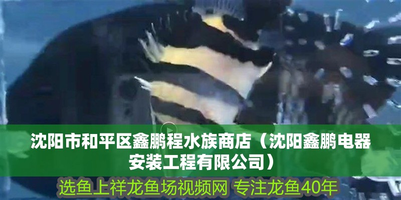 沈陽市和平區鑫鵬程水族商店（沈陽鑫鵬電器安裝工程有限公司）