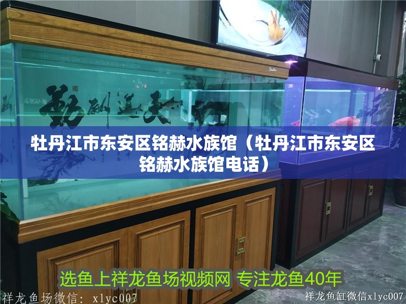 牡丹江市東安區銘赫水族館（牡丹江市東安區銘赫水族館電話）