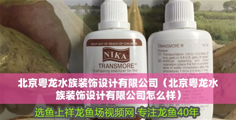 北京粵龍水族裝飾設(shè)計(jì)有限公司（北京粵龍水族裝飾設(shè)計(jì)有限公司怎么樣） 北京粵龍水族裝飾設(shè)計(jì)有限公司（北京粵龍水族裝飾設(shè)計(jì)有限公司怎么樣） 全國水族館企業(yè)名錄