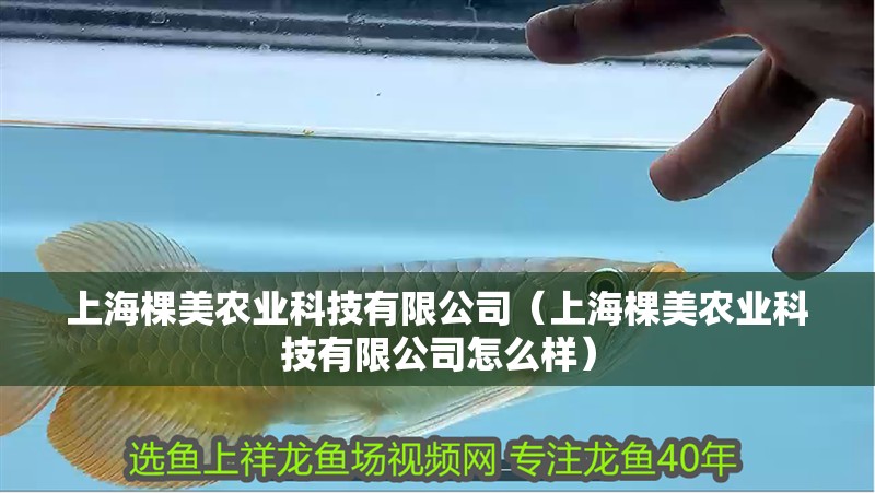 上海棵美農業科技有限公司（上海棵美農業科技有限公司怎么樣） 上海棵美農業科技有限公司（上海棵美農業科技有限公司怎么樣） 全國水族館企業名錄 第2張