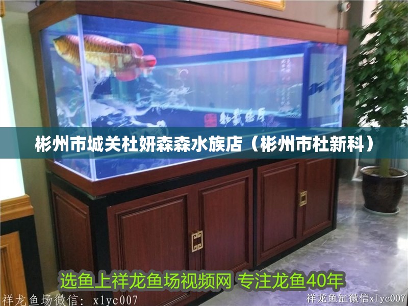 彬州市城關杜妍森森水族店（彬州市杜新科） 彬州市城關杜妍森森水族店（彬州市杜新科） 全國水族館企業(yè)名錄 第2張