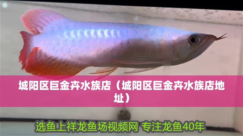 城陽區巨金卉水族店（城陽區巨金卉水族店地址）