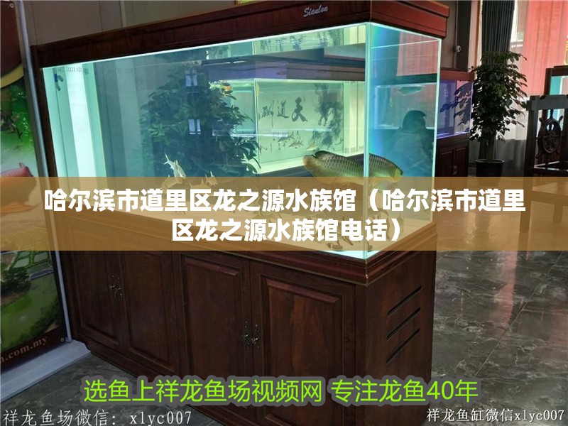 哈爾濱市道里區(qū)龍之源水族館（哈爾濱市道里區(qū)龍之源水族館電話(huà)）