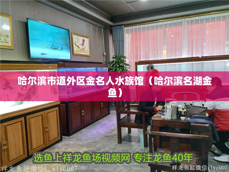 哈爾濱市道外區金名人水族館（哈爾濱名湖金魚）