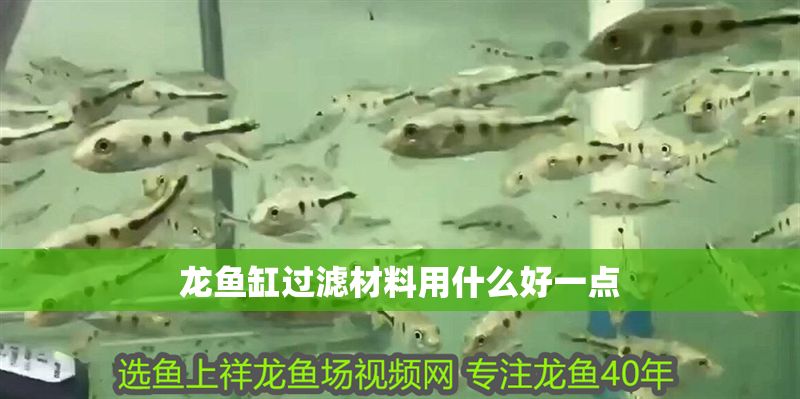 龍魚缸過(guò)濾材料用什么好一點(diǎn) 龍魚缸過(guò)濾材料用什么好一點(diǎn) 龍魚百科 第2張