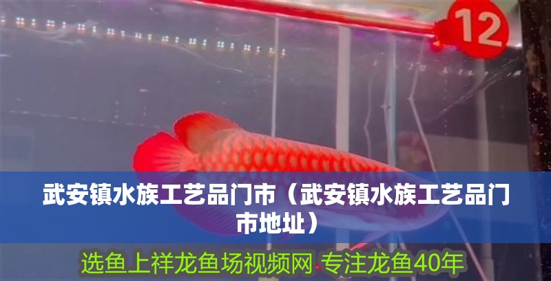 武安鎮(zhèn)水族工藝品門市（武安鎮(zhèn)水族工藝品門市地址） 武安鎮(zhèn)水族工藝品門市（武安鎮(zhèn)水族工藝品門市地址） 全國(guó)水族館企業(yè)名錄 第2張