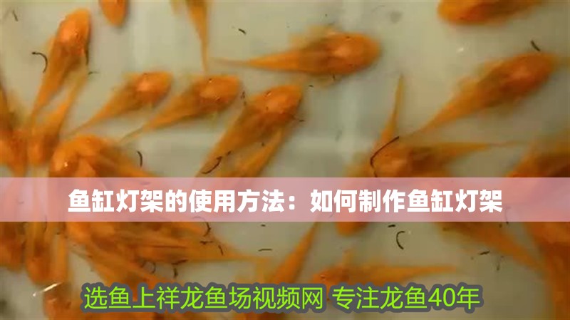 魚缸燈架的使用方法：如何制作魚缸燈架