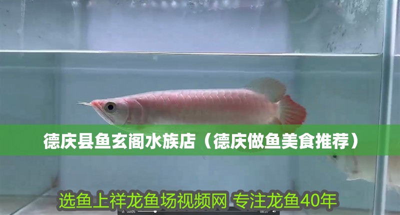 德慶縣魚玄閣水族店（德慶做魚美食推薦）