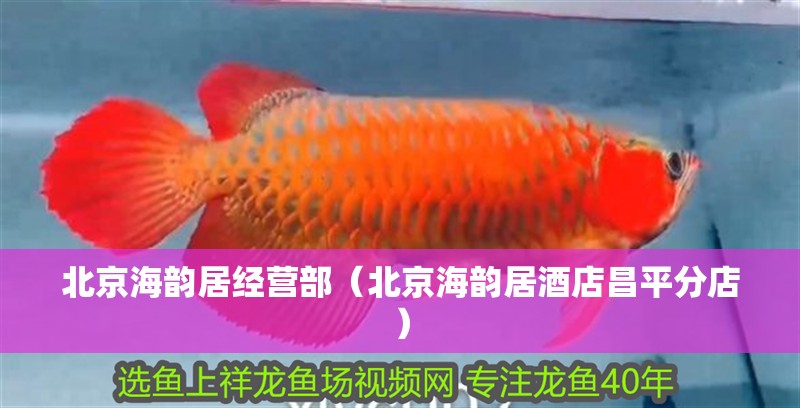 北京海韻居經(jīng)營部（北京海韻居酒店昌平分店） 北京海韻居經(jīng)營部（北京海韻居酒店昌平分店） 全國水族館企業(yè)名錄 第2張