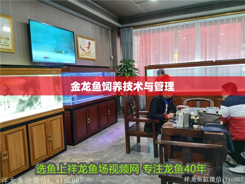 金龍魚飼養技術與管理