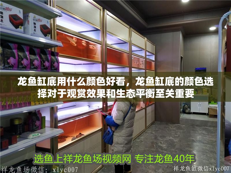 龍魚缸底用什么顏色好看，龍魚缸底的顏色選擇對于觀賞效果和生態(tài)平衡至關(guān)重要