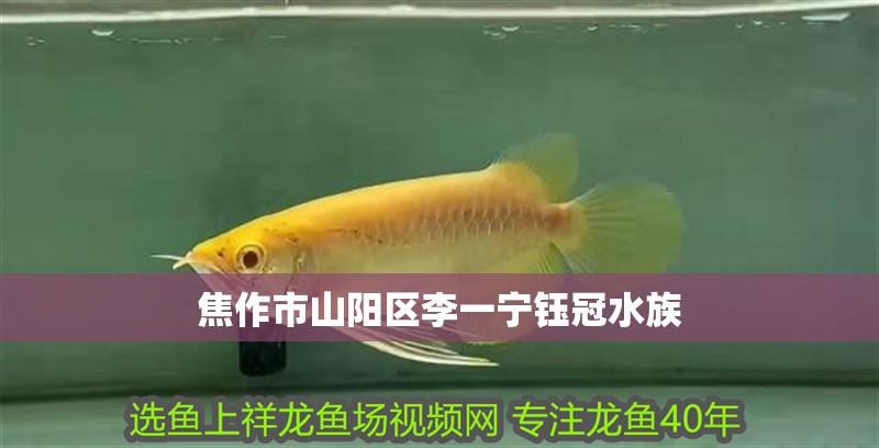 焦作市山陽區(qū)李一寧鈺冠水族