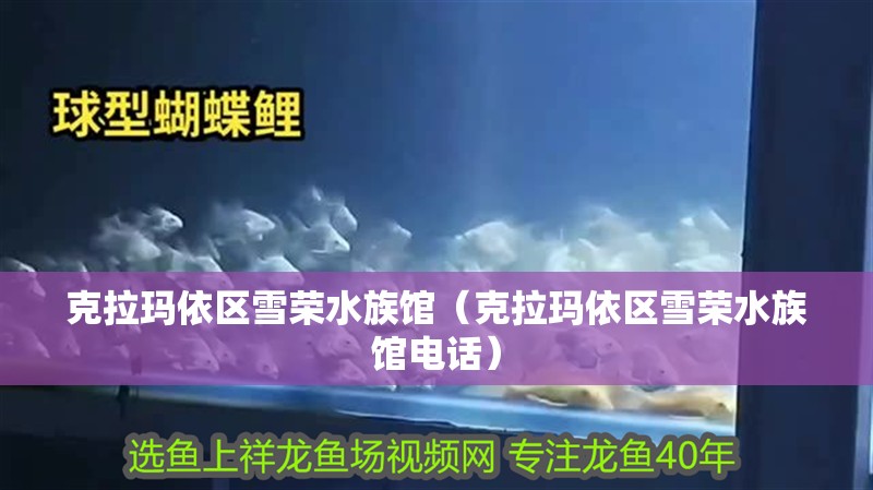 克拉瑪依區(qū)雪榮水族館（克拉瑪依區(qū)雪榮水族館電話）