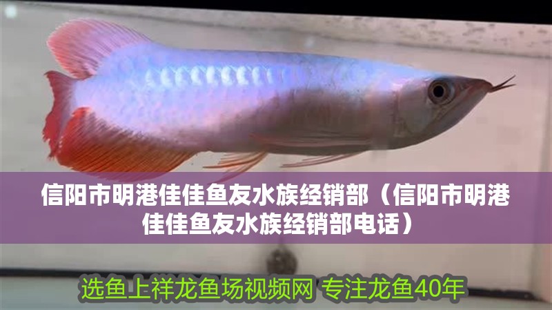 信陽市明港佳佳魚友水族經銷部（信陽市明港佳佳魚友水族經銷部電話）