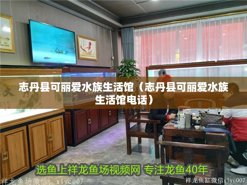 志丹縣可麗愛(ài)水族生活館（志丹縣可麗愛(ài)水族生活館電話） 志丹縣可麗愛(ài)水族生活館（志丹縣可麗愛(ài)水族生活館電話） 全國(guó)水族館企業(yè)名錄 第2張
