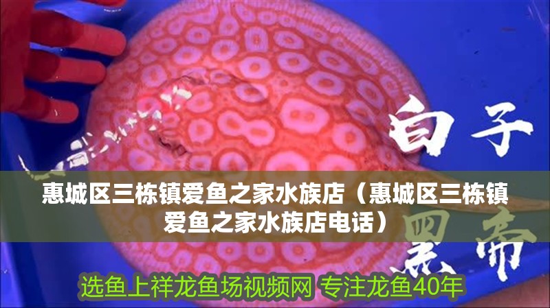 惠城區三棟鎮愛魚之家水族店(惠城區三棟鎮愛魚之家水族店電話) 全國水族館企業名錄 第2張 惠城區三棟鎮愛魚之家水族店(惠城區三棟鎮愛魚之家水族店電話) 惠城區三棟鎮愛魚之家水族店(惠城區三棟鎮愛魚之家水族店電話) 全國水族館企業名錄 第2張