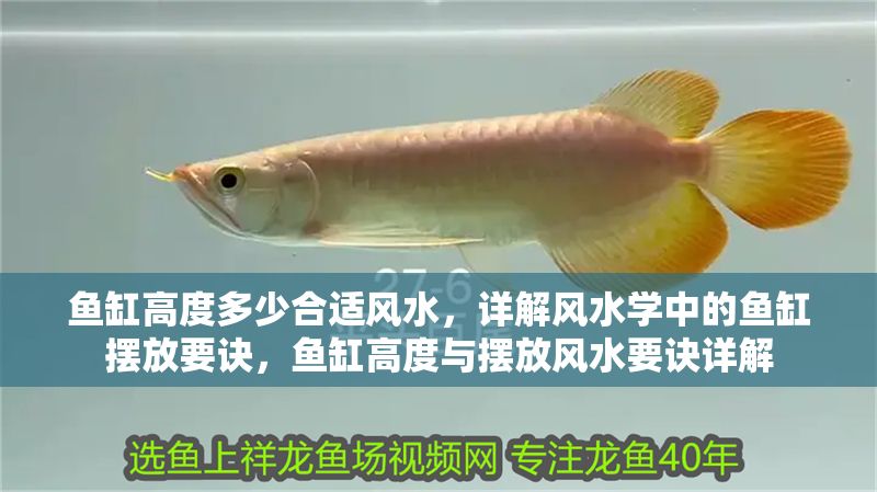 魚缸高度多少合適風水，詳解風水學中的魚缸擺放要訣，魚缸高度與擺放風水要訣詳解