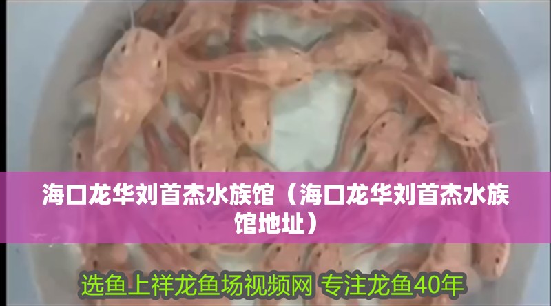 海口龍華劉首杰水族館（海口龍華劉首杰水族館地址）