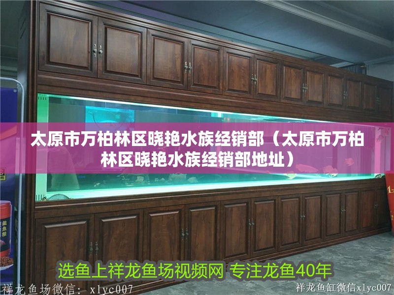 太原市萬(wàn)柏林區(qū)曉艷水族經(jīng)銷部（太原市萬(wàn)柏林區(qū)曉艷水族經(jīng)銷部地址）