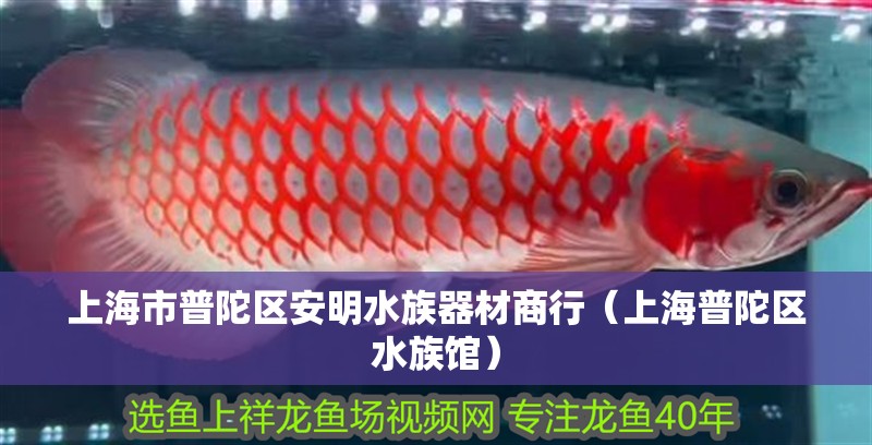 上海市普陀區(qū)安明水族器材商行（上海普陀區(qū)水族館）