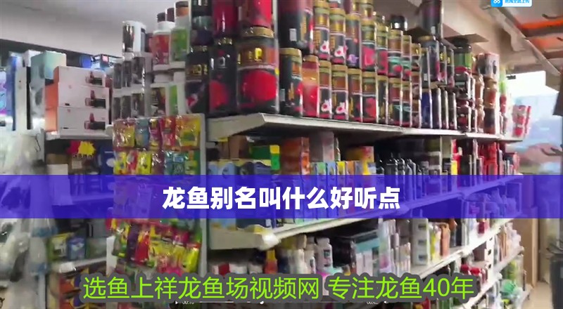 龍魚別名叫什么好聽點