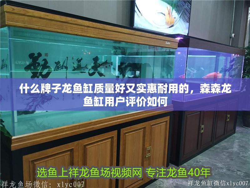 什么牌子龍魚缸質量好又實惠耐用的，森森龍魚缸用戶評價如何