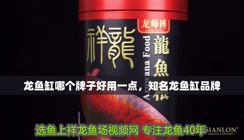 龍魚缸哪個牌子好用一點，知名龍魚缸品牌