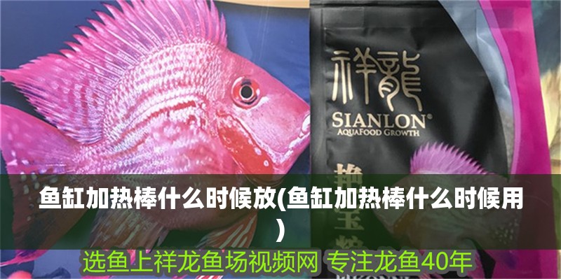魚缸加熱棒什么時候放(魚缸加熱棒什么時候用)