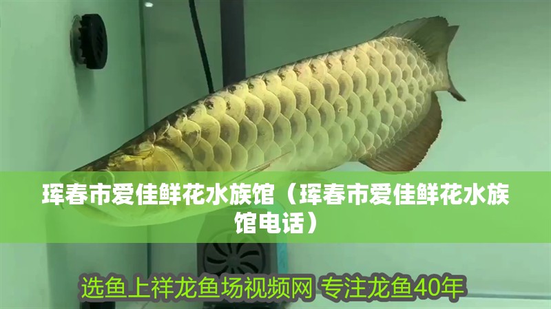 琿春市愛佳鮮花水族館（琿春市愛佳鮮花水族館電話）