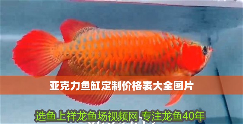 亞克力魚缸定制價格表大全圖片