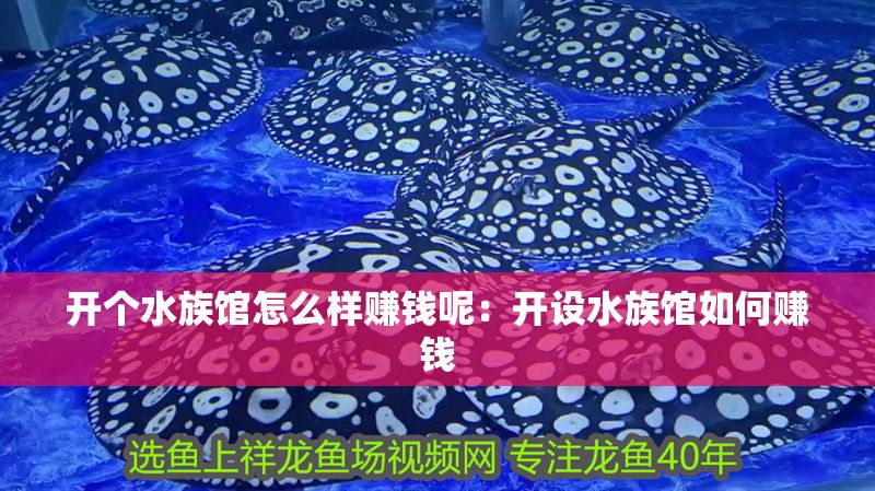 開個水族館怎么樣賺錢呢：開設水族館如何賺錢