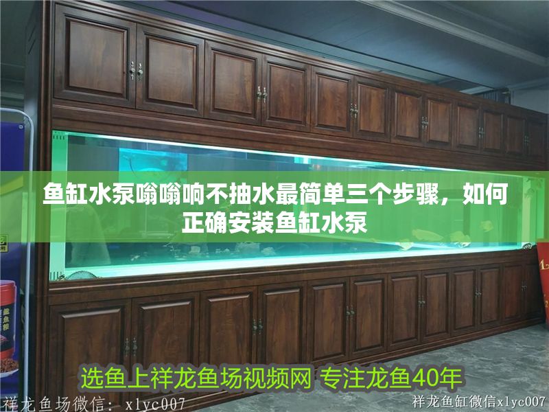 魚缸水泵嗡嗡響不抽水最簡單三個步驟，如何正確安裝魚缸水泵