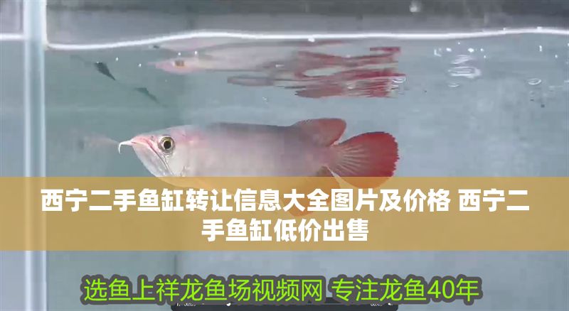 西寧二手魚缸轉(zhuǎn)讓信息大全圖片及價(jià)格 西寧二手魚缸低價(jià)出售