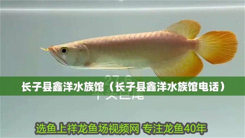 長子縣鑫洋水族館（長子縣鑫洋水族館電話） 長子縣鑫洋水族館（長子縣鑫洋水族館電話） 全國水族館企業名錄 第2張