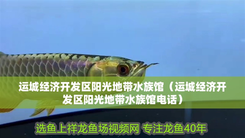 運(yùn)城經(jīng)濟(jì)開(kāi)發(fā)區(qū)陽(yáng)光地帶水族館（運(yùn)城經(jīng)濟(jì)開(kāi)發(fā)區(qū)陽(yáng)光地帶水族館電話）