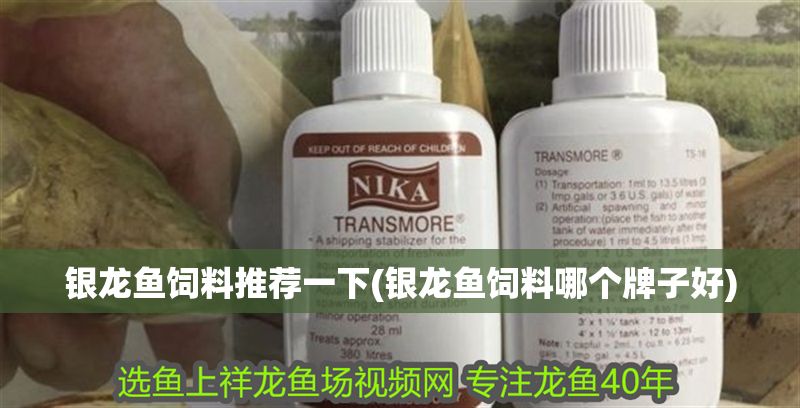 銀龍魚飼料推薦一下(銀龍魚飼料哪個牌子好)